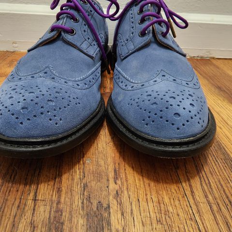 Tricker's Bourton Country Shoe in Zonta Indigo Castorino Suede