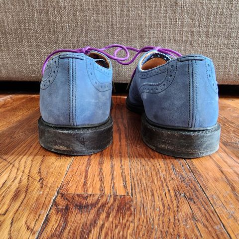 Tricker's Bourton Country Shoe in Zonta Indigo Castorino Suede