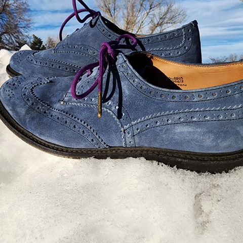 Tricker's Bourton Country Shoe in Zonta Indigo Castorino Suede