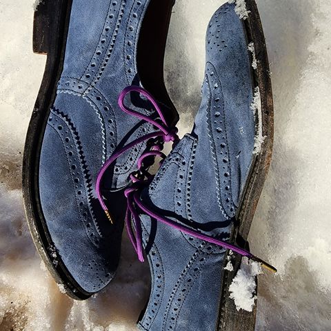 Tricker's Bourton Country Shoe in Zonta Indigo Castorino Suede