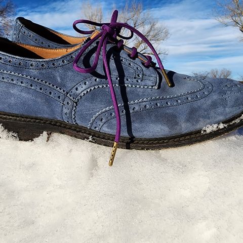 Tricker's Bourton Country Shoe in Zonta Indigo Castorino Suede