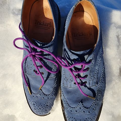 Tricker's Bourton Country Shoe in Zonta Indigo Castorino Suede