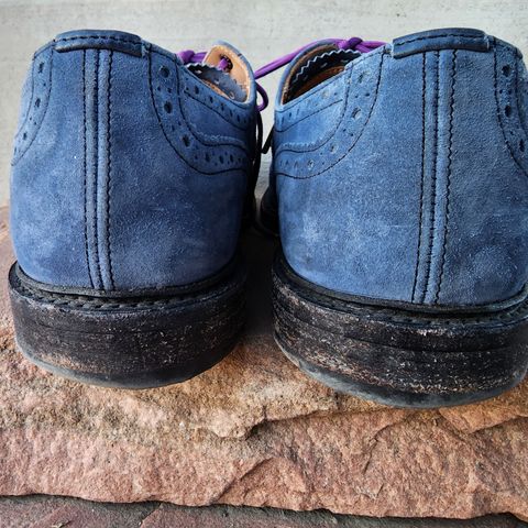 Tricker's Bourton Country Shoe in Zonta Indigo Castorino Suede