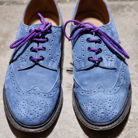 Tricker's Bourton Country Shoe in Zonta Indigo Castorino Suede