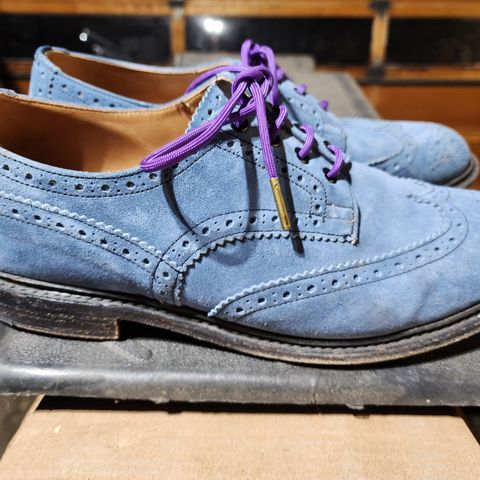 Tricker's Bourton Country Shoe in Zonta Indigo Castorino Suede