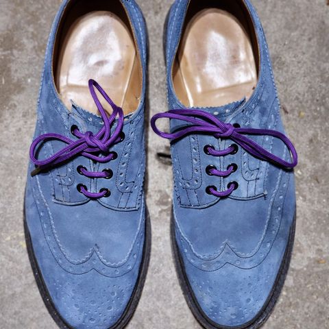 Tricker's Bourton Country Shoe in Zonta Indigo Castorino Suede