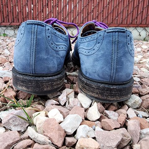 Tricker's Bourton Country Shoe in Zonta Indigo Castorino Suede