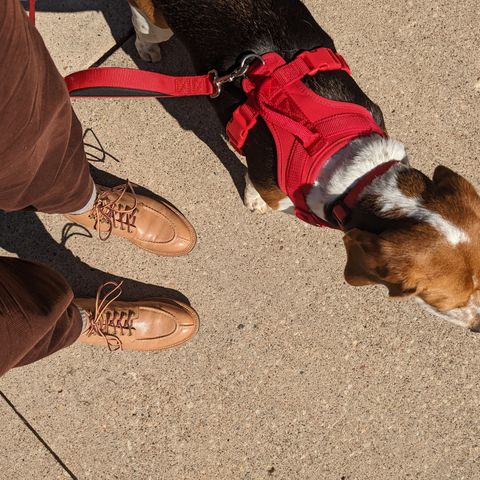 Grant Stone Ottawa Boot in Incas Natural Kangaroo