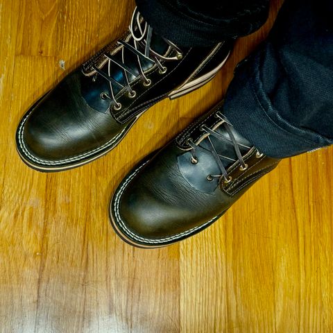 Nicks Free Range in Wickett & Craig Olive Double Stuffed