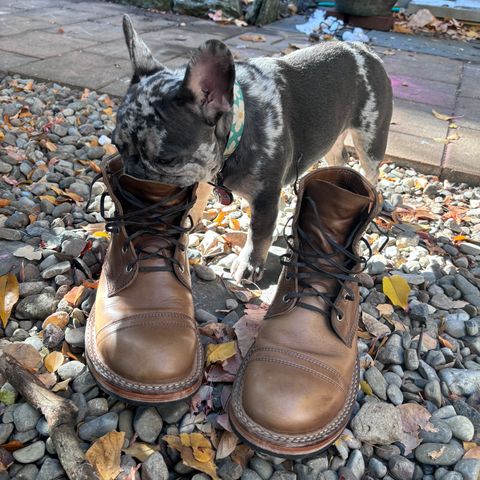 View photo of White's Semi-Dress in Horween Natural Chromexcel