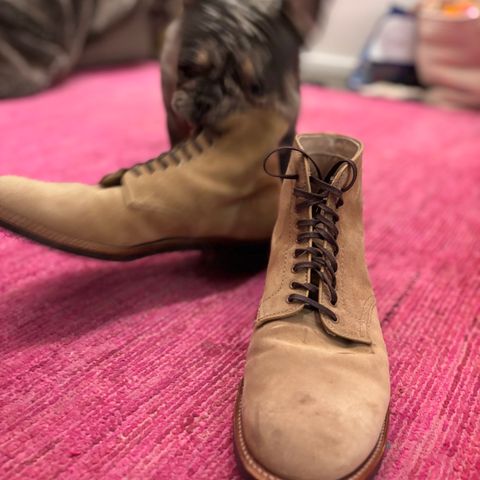 Alden x Brogue Boondocker Boot in Tan Suede