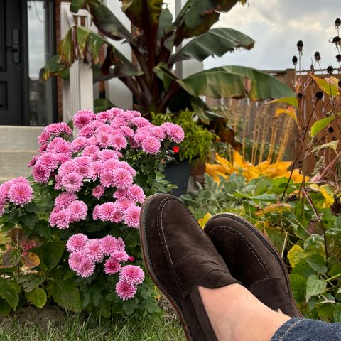 Alden Leisure Handsewn Penny Loafer in Dark Brown Suede