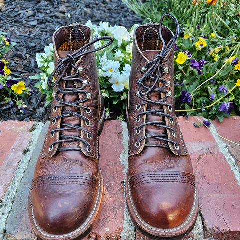 Red Wing Iron Ranger in S.B. Foot Copper Rough and Tough