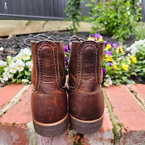 Red Wing Iron Ranger in S.B. Foot Copper Rough and Tough