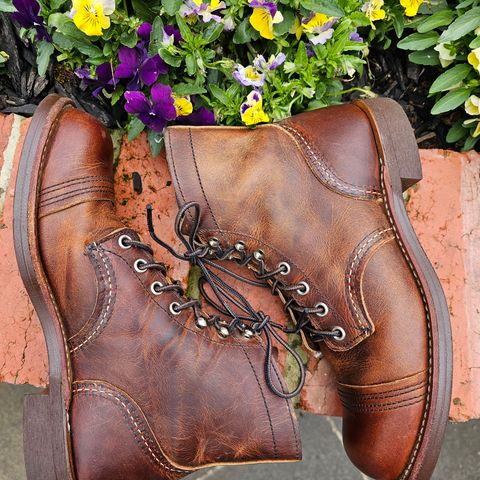 Red Wing Iron Ranger in S.B. Foot Copper Rough and Tough
