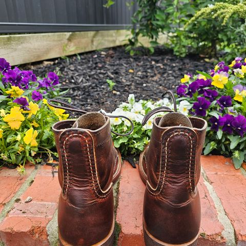 Red Wing Iron Ranger in S.B. Foot Copper Rough and Tough