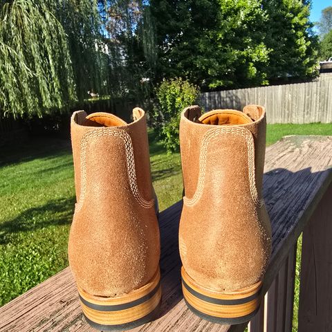 August Special Belliver Boot in Maryam Toscanello Waxed Reverse Horsebutt