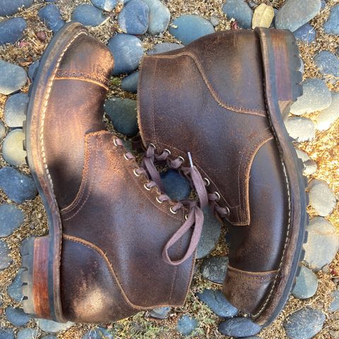 Viberg Service Boot BCT in Horween Brown Waxed Flesh