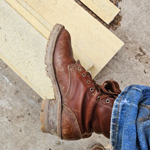 Nicks Urban Logger in Seidel Peanut Tuscon Bison