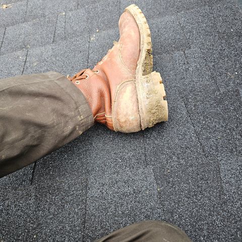 Nicks Urban Logger in Seidel Peanut Tuscon Bison