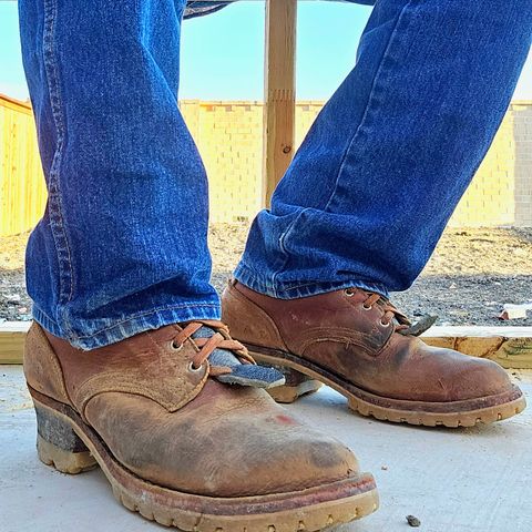 Nicks Urban Logger in Seidel Peanut Tuscon Bison