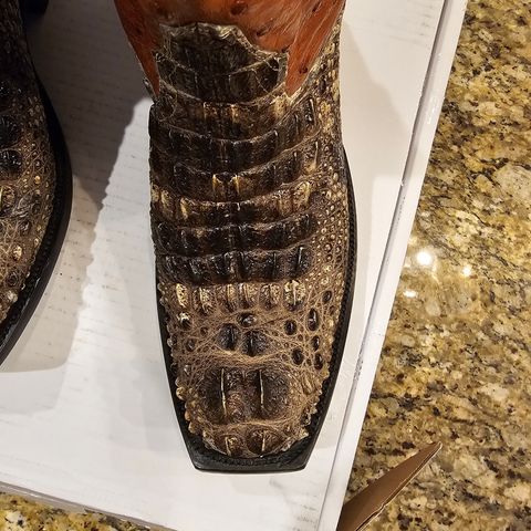 Search result thumbnail of Acosta Boots. Cowboy Boot in Head Cut Gator, Full Quill Ostrich
