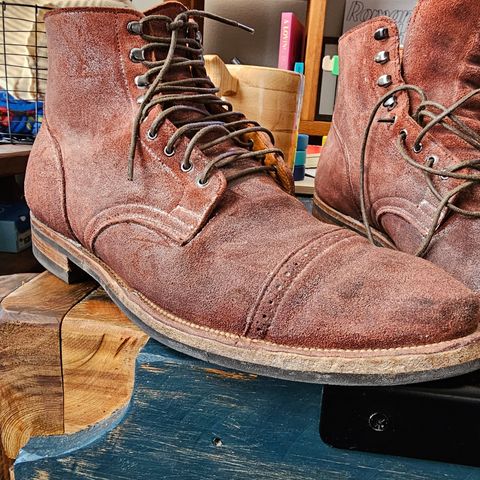 Viberg Service Boot in C.F. Stead Milkshake Janus Calf Suede