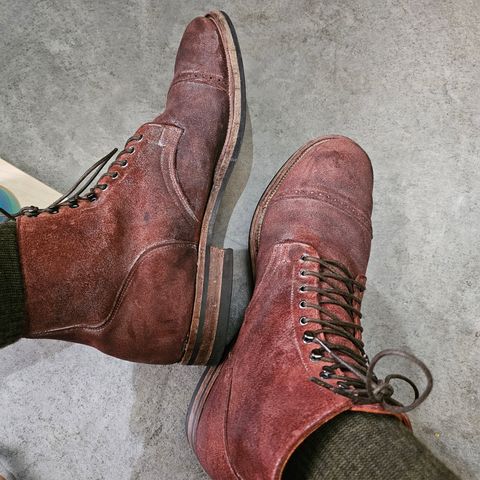 Viberg Service Boot in C.F. Stead Milkshake Calf Suede