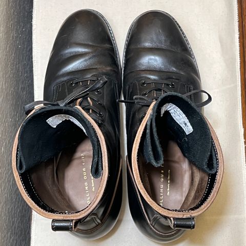 Review: Rolling Dub Trio Griffin 8.5
