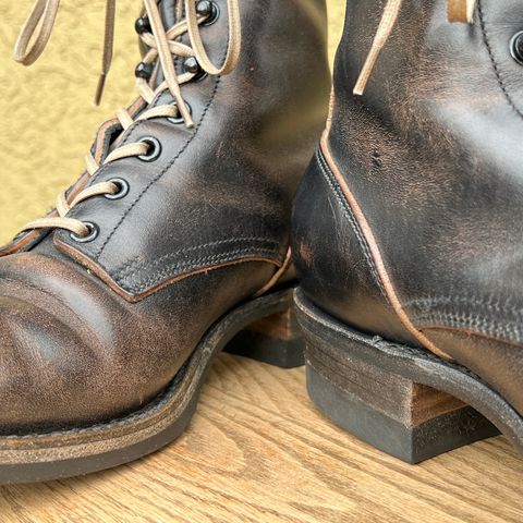 Rolling Dub Trio Griffin 8.5" Plain Toe Boots in Original Black Horsebutt #1010