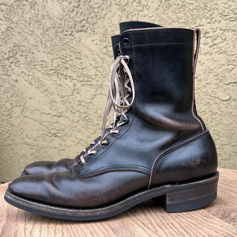 Rolling Dub Trio Griffin 8.5" Plain Toe Boots in Original Black Horsebutt #1010