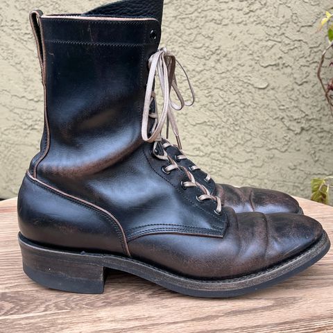 Rolling Dub Trio Griffin 8.5" Plain Toe Boots in Original Black Horsebutt #1010