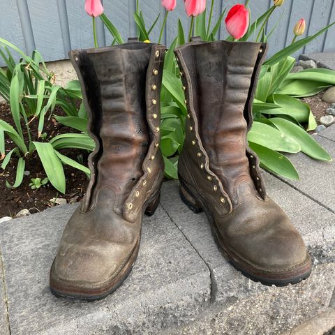Nicks BuilderPro in Seidel 1964 Walnut Roughout