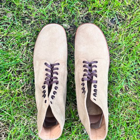 Yuketen Alan in Khaki Suede