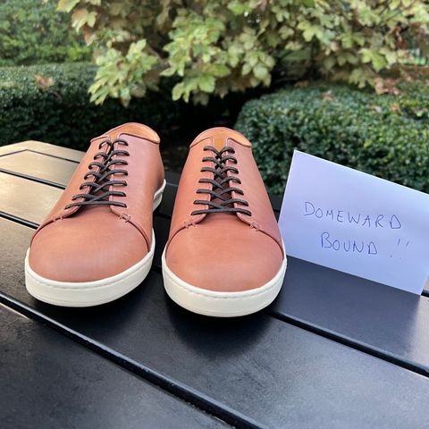 Crown Northampton Harlestone in Horween Unglazed Natural Shell Cordovan