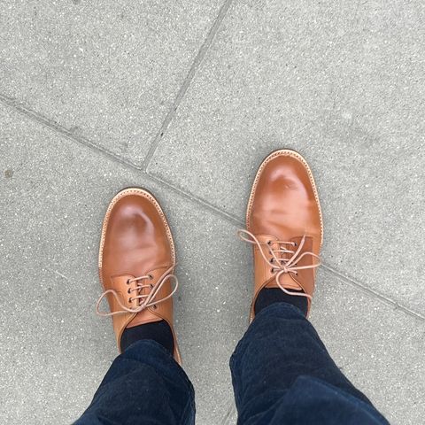 Carmina Plain Toe Derby 1525 in Horween Natural Shell Cordovan