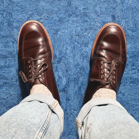 Alden ‘Bainbridge’ Indy Shoe in Horween Brown Chromexcel