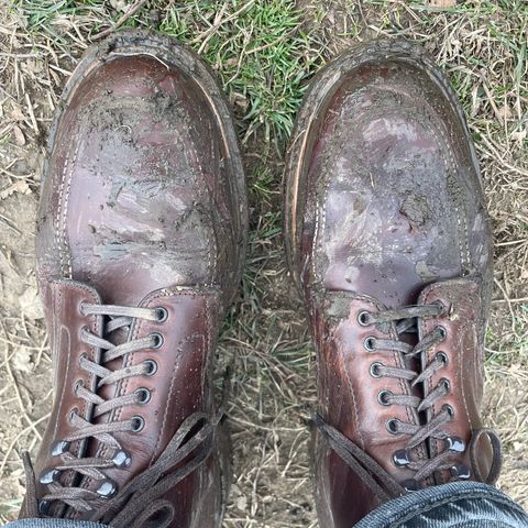 View photo of Alden Indy Boot in Horween Brown Chromexcel