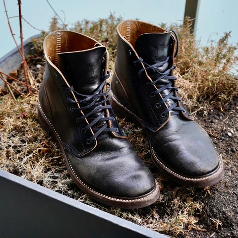 John Lofgren M-43 Service Shoes in Shinki Black Teacore Horsebutt