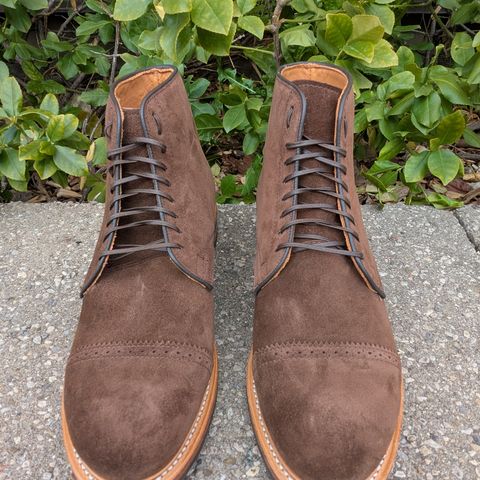 Viberg Derby Boot in C.F. Stead Brown Repello Calf Suede