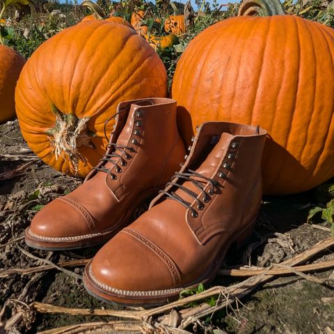 Viberg Service Boot BCT in Maryam Cuoio Horsebutt