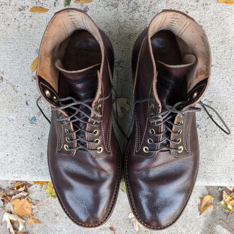 Kustom Kraft Kyle in Kobel Dark Brown Harness