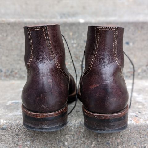 Kustom Kraft Kyle in Kobel Dark Brown Harness