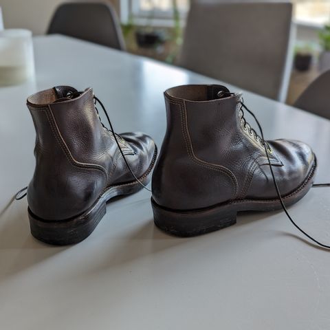 Kustom Kraft Kyle in Kobel Dark Brown Harness