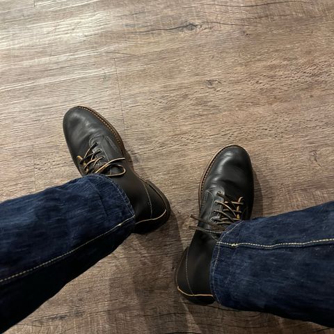 Red Wing Beckman Flatbox in S.B. Foot Black Klondike