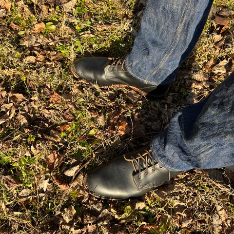 Red Wing Beckman Flatbox in S.B. Foot Black Klondike