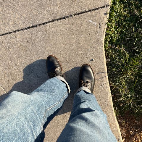 Red Wing Beckman Flatbox in S.B. Foot Black Klondike