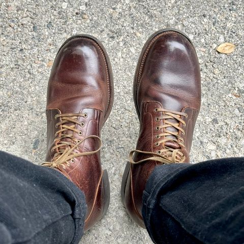 Viberg Service Boot in C.F. Stead Whiskey Phoenix