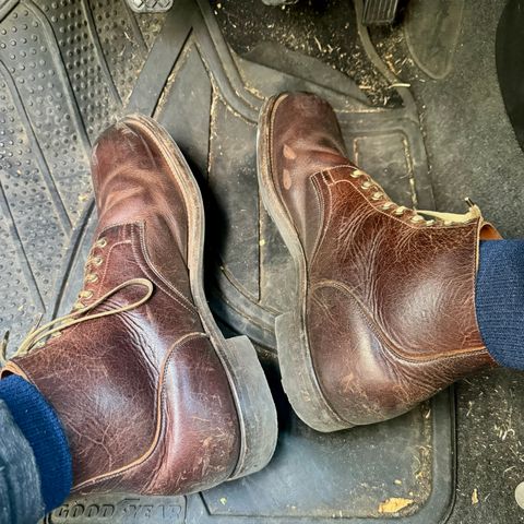 Viberg Service Boot in C.F. Stead Whiskey Phoenix