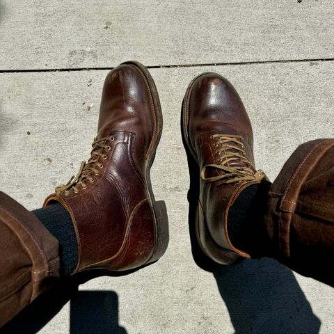 Viberg Service Boot in C.F. Stead Whiskey Phoenix